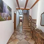 Buseo Nyaraló *